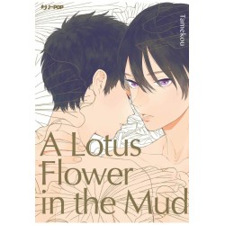 A Lotus flower in the mud (ITA)