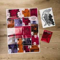 Berserk Collection 41 - Special edition (ITA)