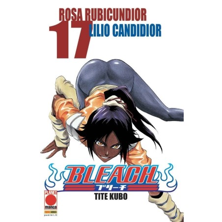 Bleach Vol. 17 (ITA)