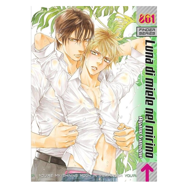 Finder - Luna di miele nel mirinoVol. 10 (ITA)
