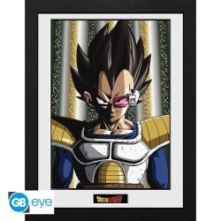 DRAGON BALL Z Framed print Vegeta Stampa incorniciata