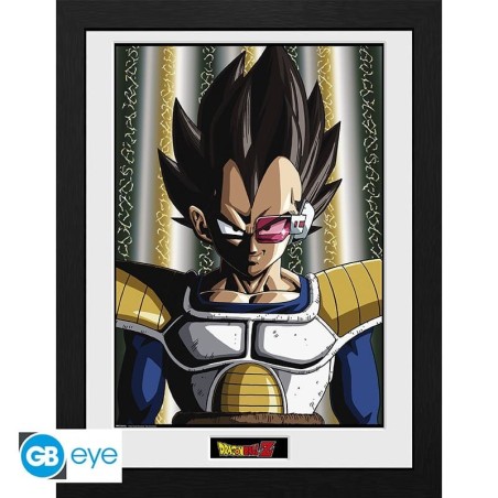 DRAGON BALL Z Framed print Vegeta