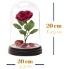 THE BEAUTY AND THE BEAST - La rosa incantata Enchanted Rose Light 20 cm