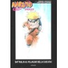 Naruto saga Vol. 10 - Naruto romanzo - Naruto : battaglia al villaggio della cascata (ITA)