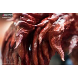 TOKYO GHOUL - Touka vs Tsukiyama 1/6 Elite Fandom Diorama Figurama Collectors 54 cm