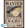 ONE PIECE Set 2 Chibi Posters Wanted Sabo & Ace (52x38cm)