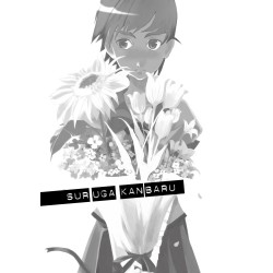 Bakemonogatari - Parte I (ITA)