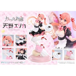 A COUPLE OF CUCKOOS - Erika Amano Prisma Wing 1/7 Prime 1 Studio PVC Figure 24 cm