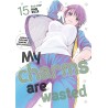 My Charms Are Wasted Vol. 15 (ITA)